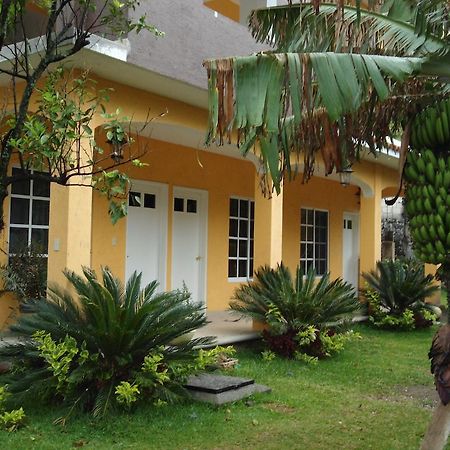 Posada Los Robles Tepoztlán Eksteriør billede
